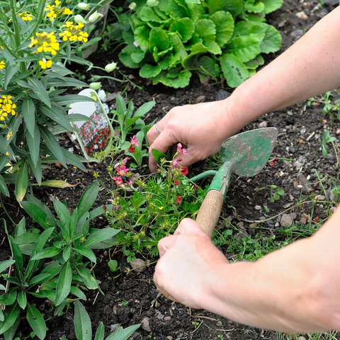 Garden Services